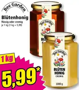 Norma Blütenhonig Angebot