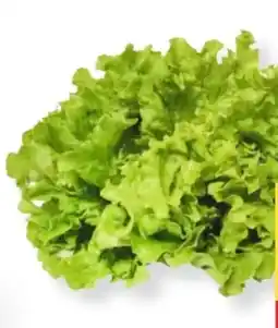 MPreis Gentile Salat Angebot