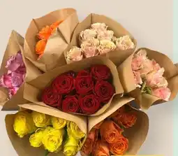 MPreis Freiland Rosen Angebot