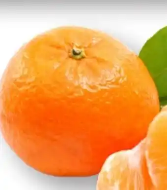 MPreis Mandarinen Nadorcott Angebot