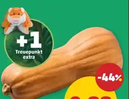 PENNY Ich bin Österreich Butternusskürbis Angebot