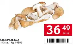 Transgourmet Steinpilze Angebot