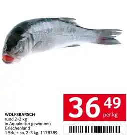 Transgourmet Wolfsbarsch Angebot