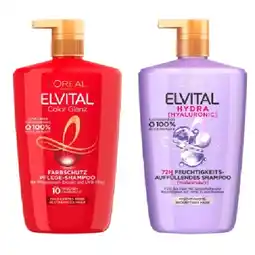 Lidl Elvital Pflege Shampoo Lidl Angebot