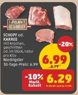 PENNY SCHOPF od. KARREE Angebot