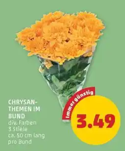 PENNY CHRYSANTHEMEN IM BUND Angebot