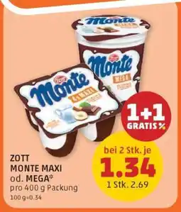 PENNY ZOTT MONTE MAXI od. MEGA Angebot