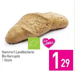Sutterlüty Hammerl landbäckerei bio kornspitz Angebot