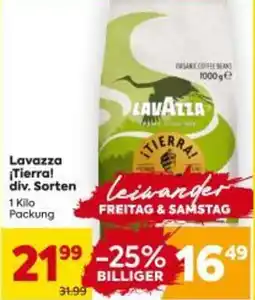 Billa Lavazza ¡Tierra! Angebot