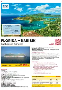 Billa Reisen Florida - karibik enchanted princess Angebot