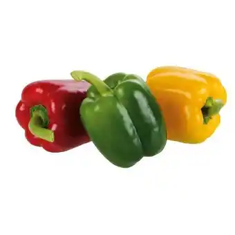 Billa Da komm' ich her Tricolore Paprika Angebot