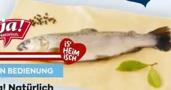 Billa ja!natürlich Bio-Bachforelle Angebot
