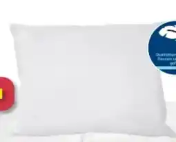 Möbelix Ele Kopfkissen Stella Angebot