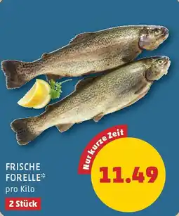PENNY Frische forelle Angebot