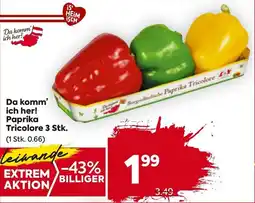Billa Corso Paprika Tricolore Angebot