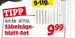 Zgonc Säbelsäge- blatt Set Angebot