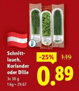 Lidl Schnitt- lauch, Koriander oder Dille Angebot