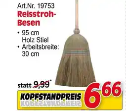 Zgonc Art.nr. 19753 reisstroh- besen Angebot