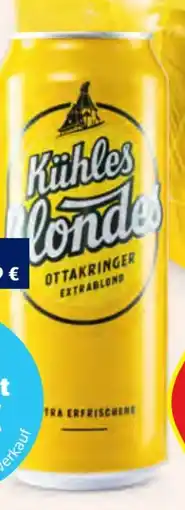 Hofer Ottakringer Kühles Blondes Extrablond Angebot