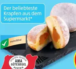 Hofer Back Box Marillenkrapfen Angebot