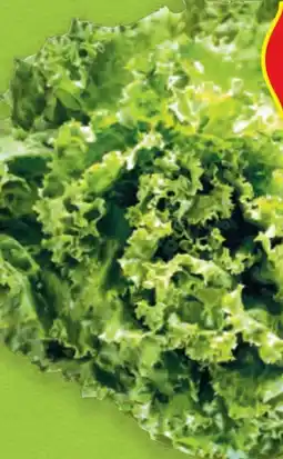 Hofer Zurück zum Ursprung Bio-Spezialsalat Angebot