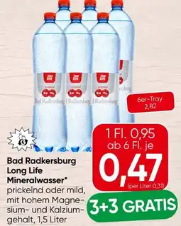 Spar Radkersburger Long Life Mineralwasser Angebot