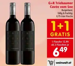 Interspar Triebaumer G+R Cuvée vom See Angebot
