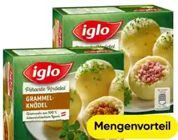 Eurospar Iglo Pikante Knödel Angebot