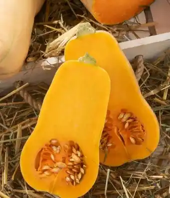 Eurospar Spar Natur pur Bio-Butternuss Kürbis Angebot