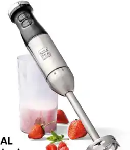 Eurospar Simpex Professional Edelstahl-Stabmixer Le Chef Angebot