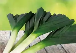 Eurospar Porree Angebot