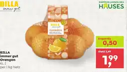 ADEG Billa immer gut Angebot