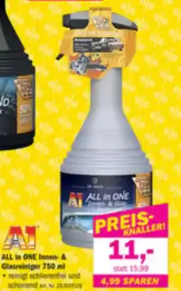 Forstinger ALL in ONE Innen- & Glaszeiniger Angebot