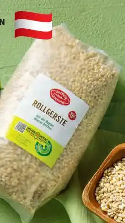 Hofer Zurück zum Ursprung Bio-Kornvariation Angebot