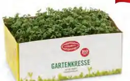 Hofer Zurück zum Ursprung Bio-Kresse Angebot