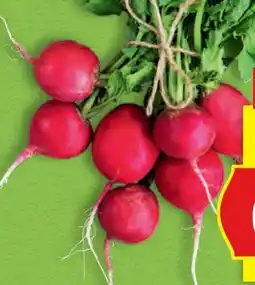 Hofer Hofer Marktplatz Radieschen Angebot