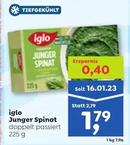 ADEG Iglo junger spinat Angebot