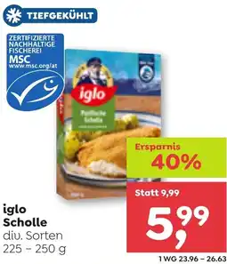ADEG iglo Scholle Angebot