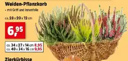 Thomas Philipps Weiden-Pflanzkorb Angebot