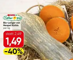 Eurospar Bio-Langer von Neapel Kürbis Angebot