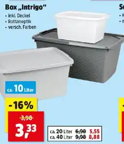 Thomas Philipps Box Intrigo Angebot