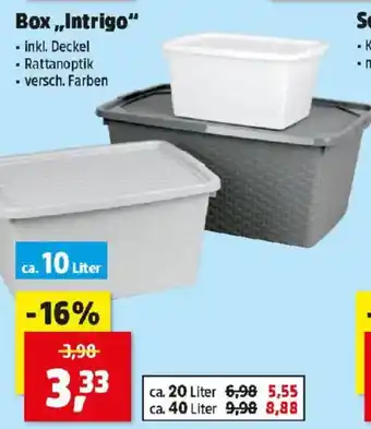 Thomas Philipps Box Intrigo Angebot