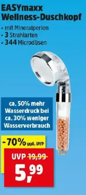 Thomas Philipps EASYmaxx Wellness-Duschkopf Angebot