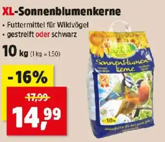 Thomas Philipps XL-Sonnenblumenkerne Angebot