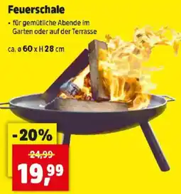 Thomas Philipps Feuerschale Angebot