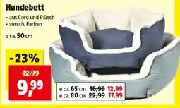 Thomas Philipps Hundebett Angebot