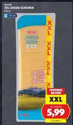 Hofer XXL GOUDA SCHEIBEN Angebot