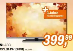 Expert NABO 43" Led-TV Angebot