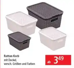 Libro Rattan Korb mit Deckel Angebot