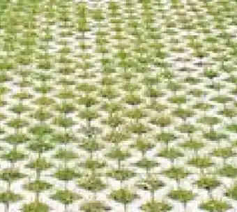 Hellweg Rasengitterstein Angebot